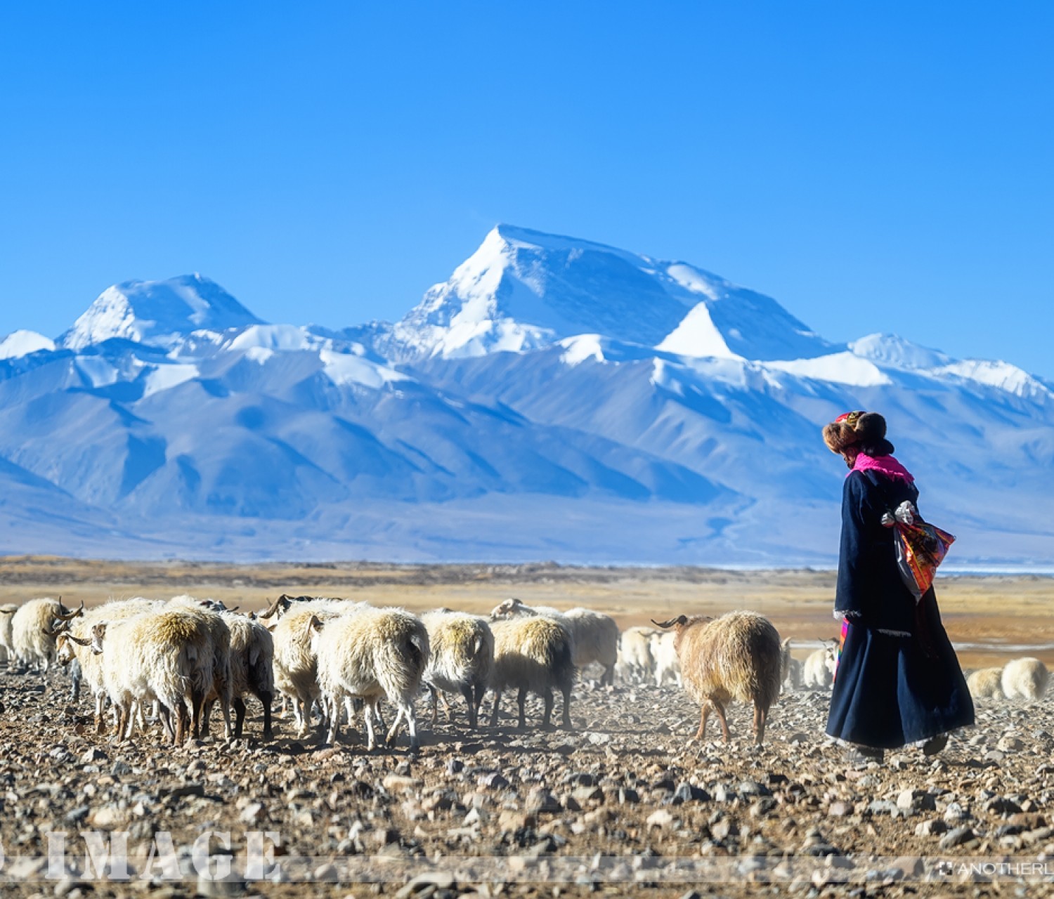 冬季里的极地阿里，挥之不去的西藏情愫
